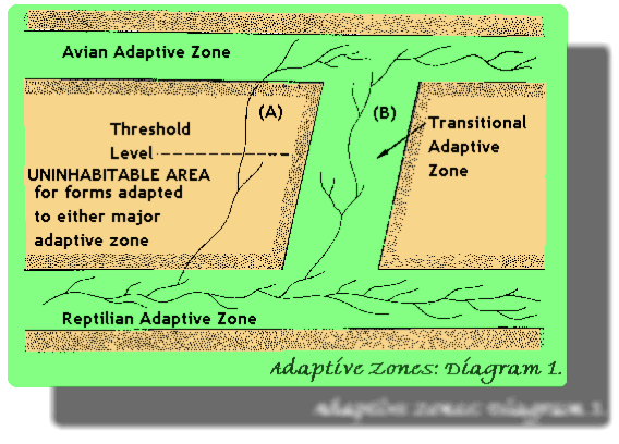 Major & Transitional Adaptive Zones