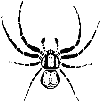 British Arachnological Society