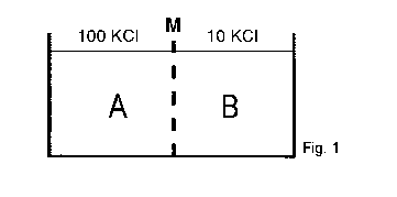 Diffusion Fig. 1