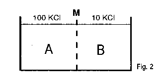 Diffusion Fig. 2