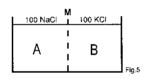 Diffusion Fig. 5