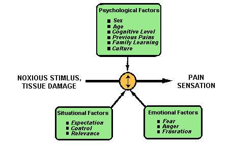 factors influencing pain