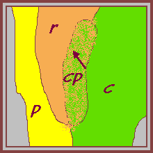 diagram of rhabdom base electronmicrograph