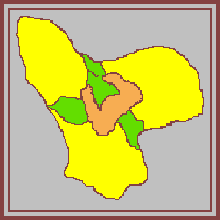 rhabdom base - transverse section