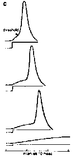 Threshold for action potential