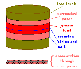 tree trunk trap