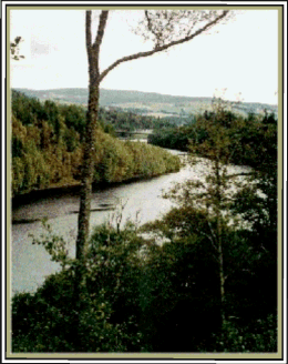 River near Pitlochry