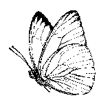 butterfly as example of Uniramia
