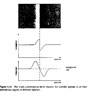 Craik-Cornsweet-O'Brien illusion